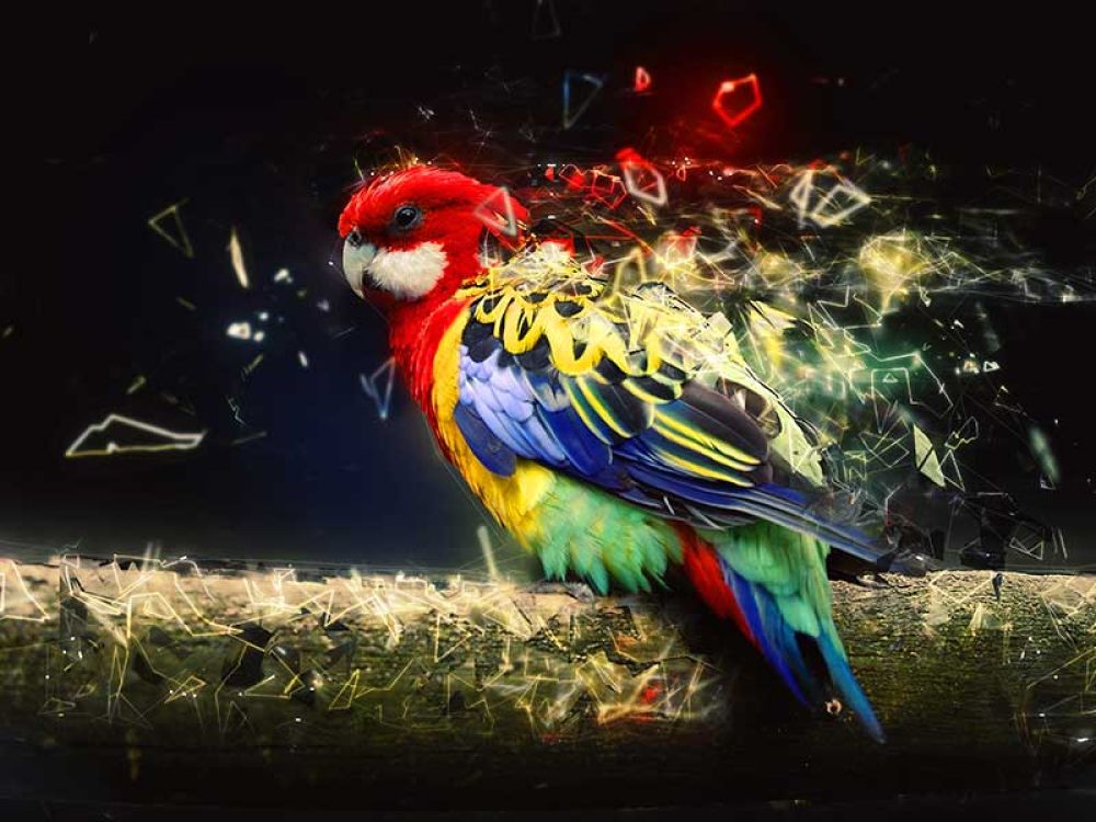 Digital bearbeiteter Papagei mit bunten Federn und leuchtenden Effekten, repräsentiert kreative und digitale Kunst als Teil der Marketingstrategie.