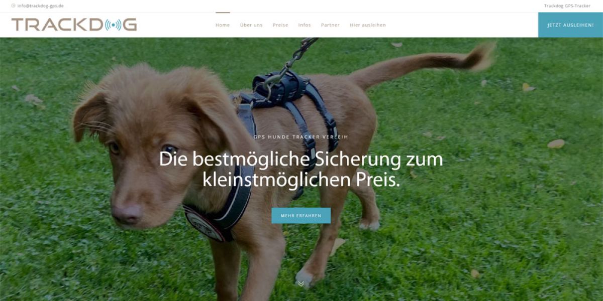 Webseiten-Gestaltung für Trackdog aus Hamburg, von Marketingagentur erstellt, zeigt dynamische und urbane Webseite