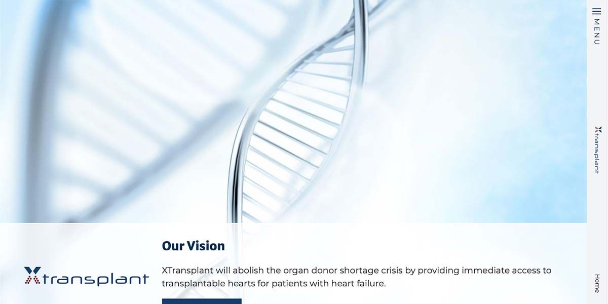 XTransplant GmbH Website