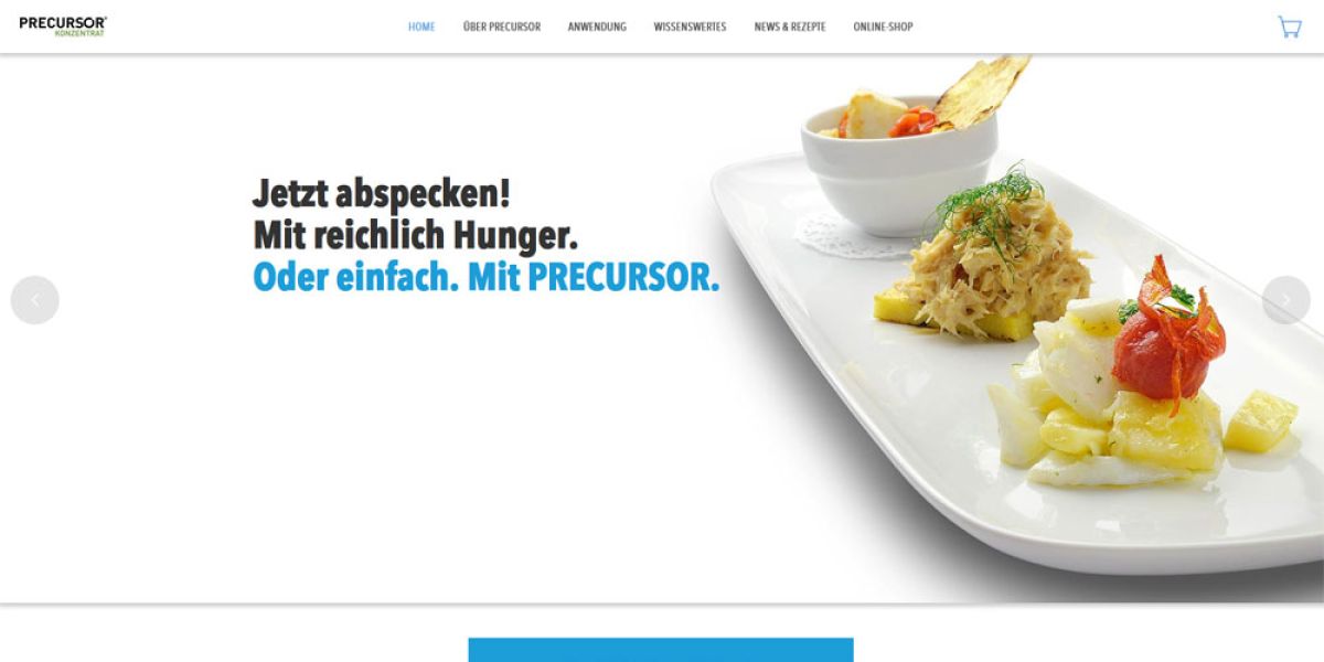 Website und Online-Shop für die PRECURSOR GmbH aus Köln